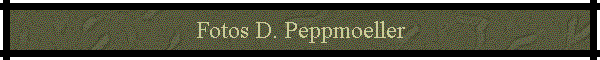 Fotos D. Peppmoeller